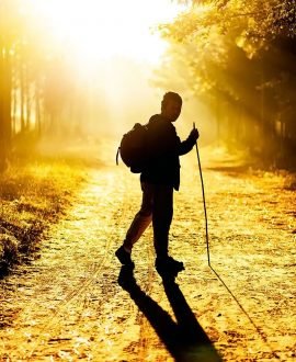 Trailing & Walking