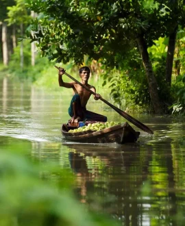 Barisal