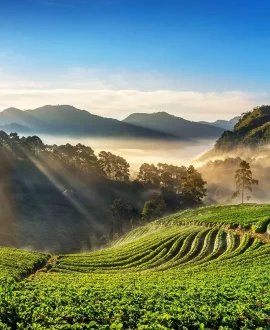 Sylhet