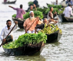 Floating vegetable market boats in Barisal backwaters, showing farmers transporting fresh produce by traditional wooden boats.