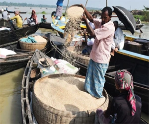 Traditional river rice trading in the Barisal backwaters, with villagers loading grain on wooden boats.